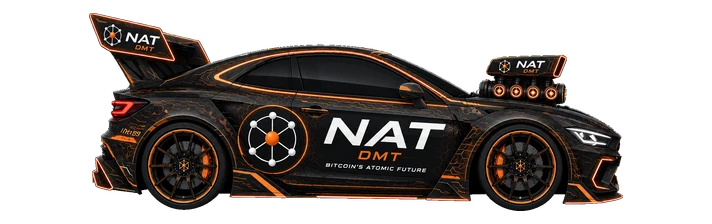 NAT Racer